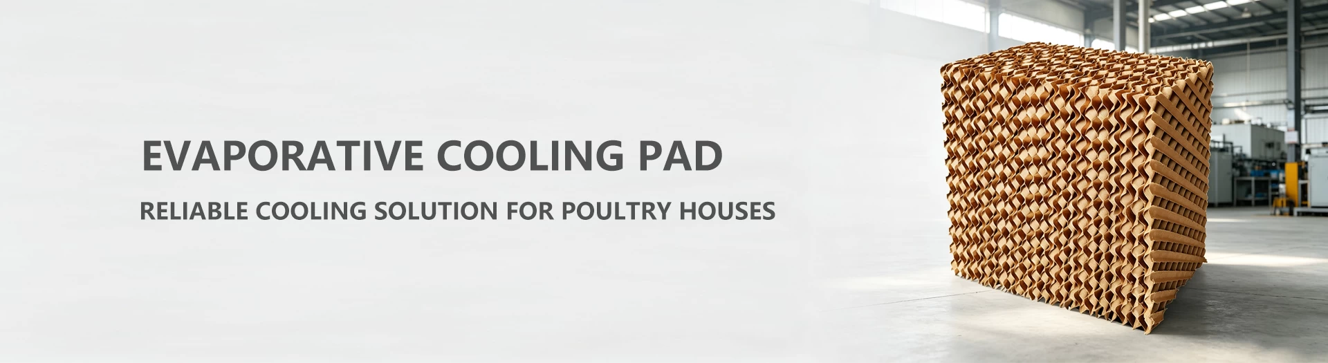 collection-banner-image