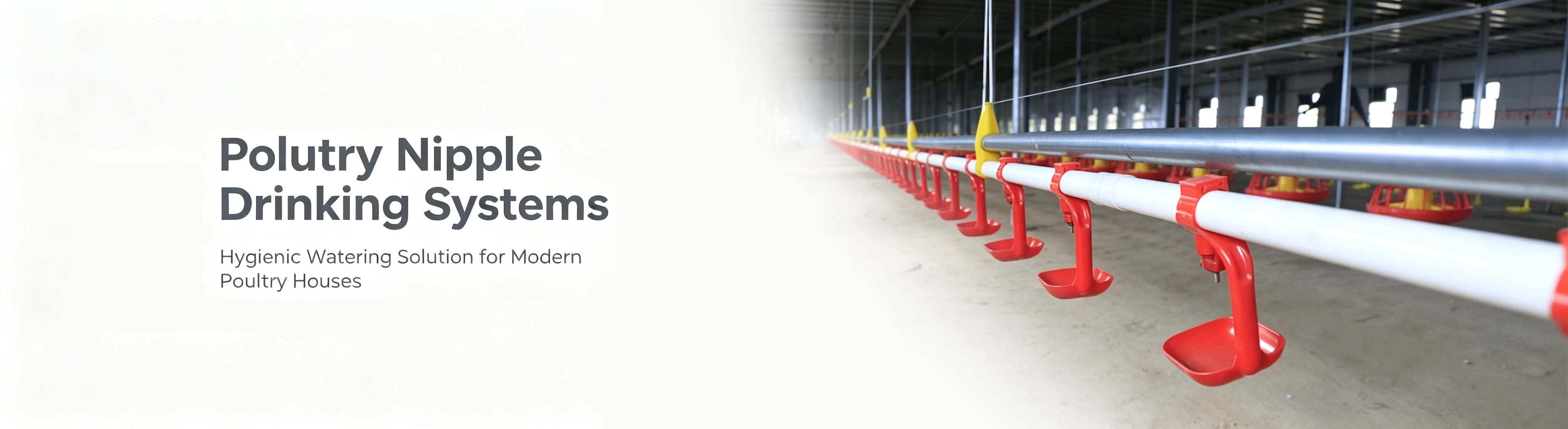 collection-banner-image