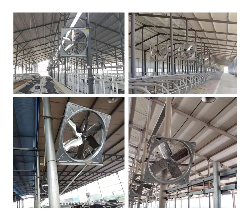 Installation of hanging circulation fans in a dairy barn freestall area