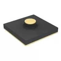 CLA4606-000 IC