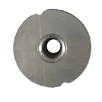 Rear Subframe Anterior Bushing for Tesla Model 3/Y — OEM 1188556