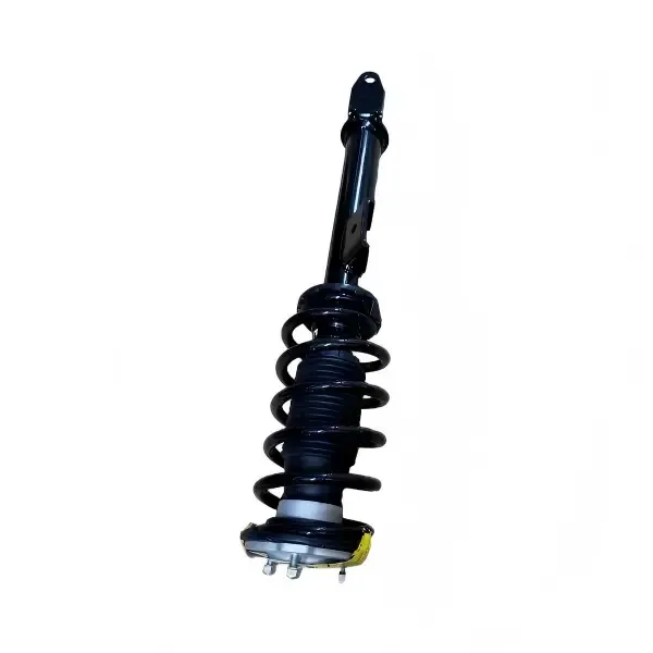 Front Left Shock Absorber Strut Assembly for Tesla Model 3 — OEM Spec