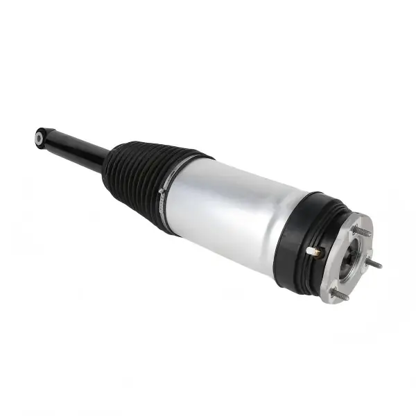 Rear Air Suspension Shock Strut for Tesla Model S — 1067461-25-C