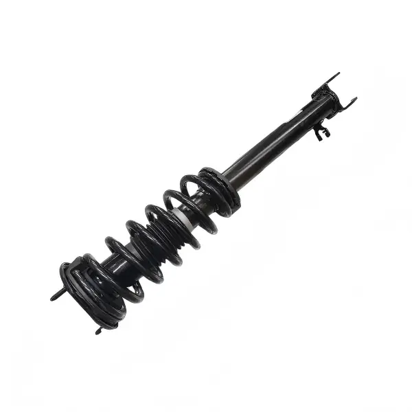 Front Left Shock Strut & Coil Spring Assembly for Tesla Model S — 1015619-00-C