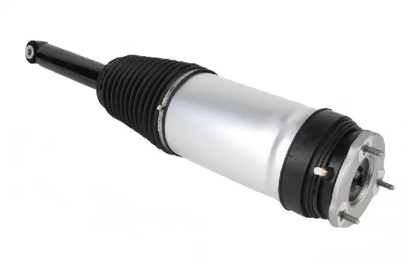 Rear Air Spring Module for Tesla Model S Dual Motor — 1067461-25-C