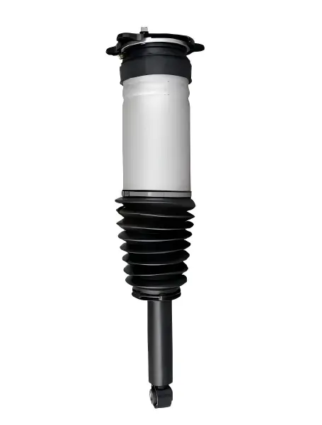 Rear Air Spring Module for Tesla Model S Dual Motor — 1067461-25-C