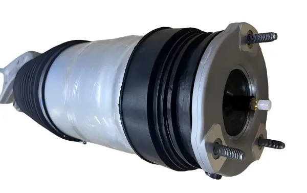 Front Air Strut for Tesla Model S RWD — 6006351-00-D